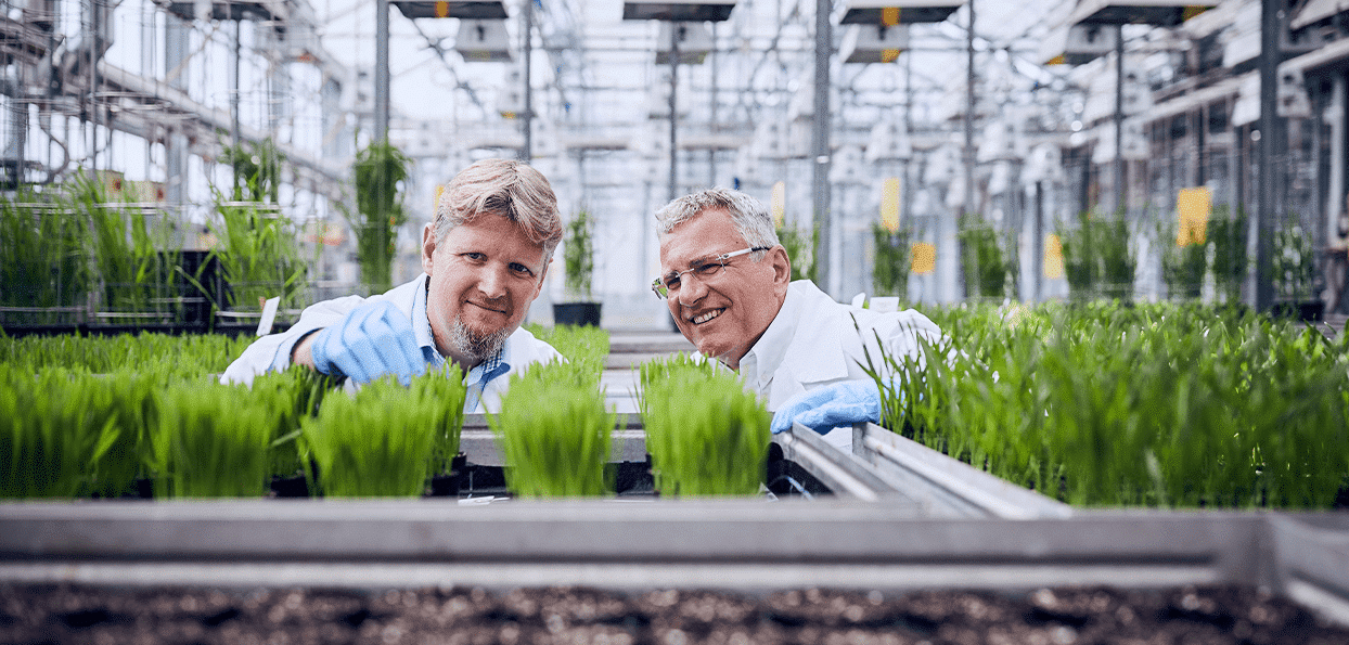 Agricultural transition: BASF invests €6M in Hauts-de-France