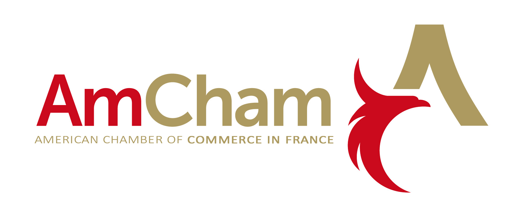american_chamber_of_commerce_in_france_amcham
