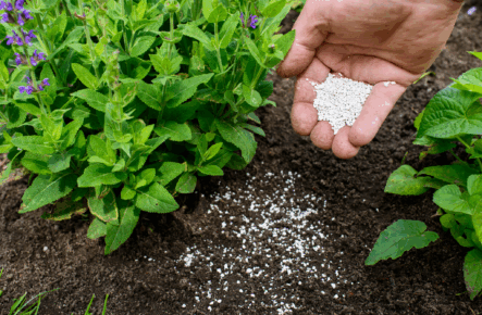 FertigHy to set up its European low-carbon fertilizer plant in Hauts-de-France